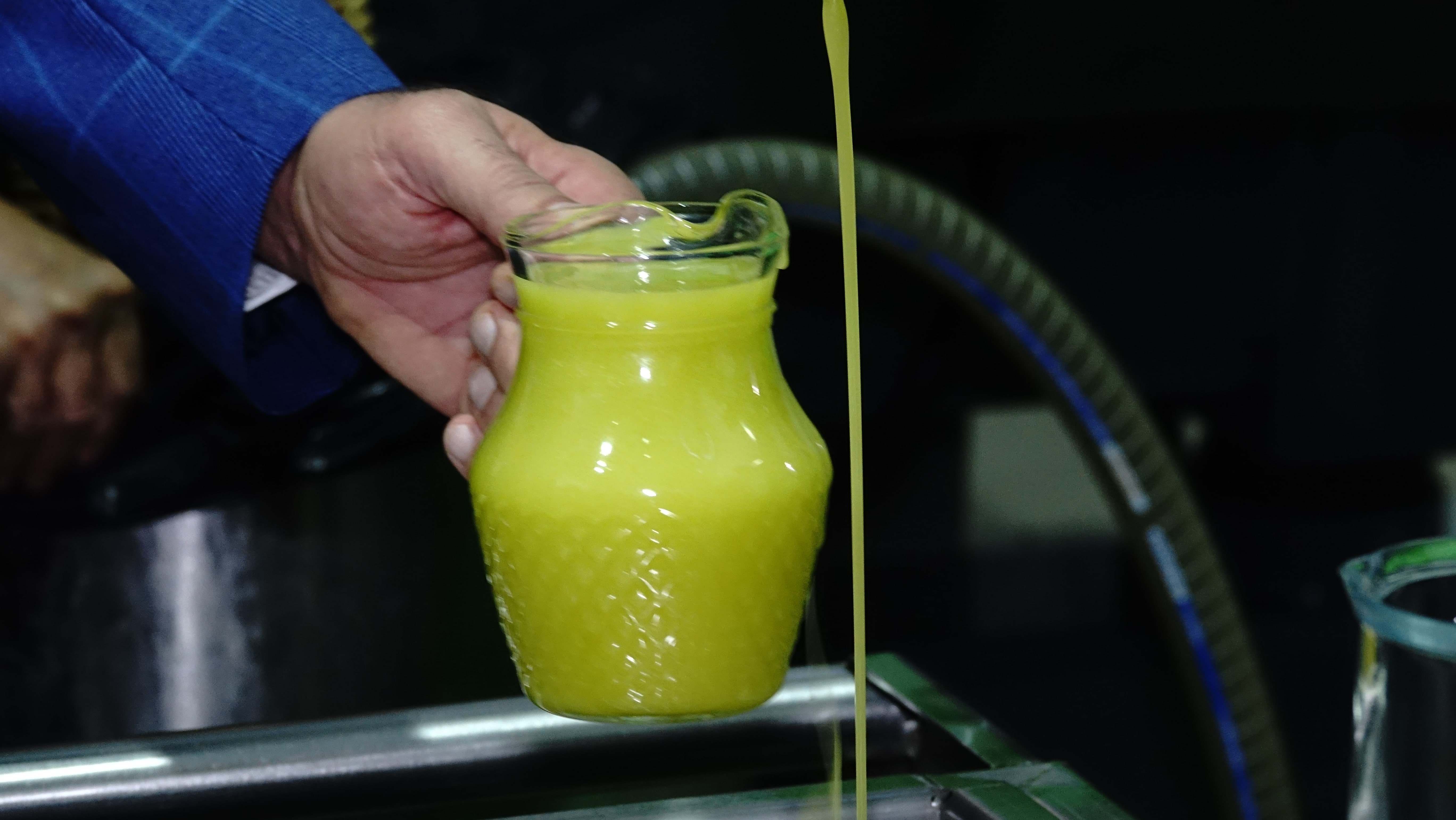 Adına türküler yazılan üründe hasat yapıldı: 'Taklit edilen 3 üründen biri'