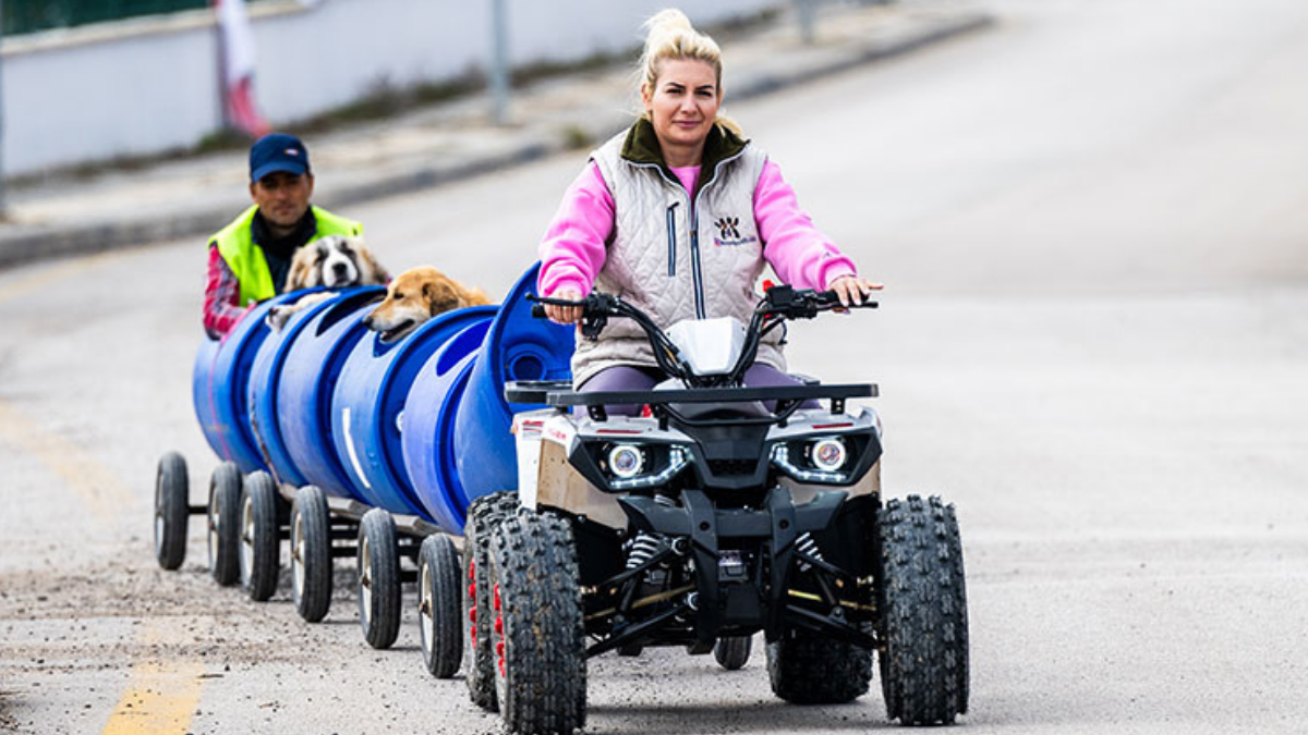 'Mama yardımı' isteyerek 20 milyon liralık vurgun yaptılar
