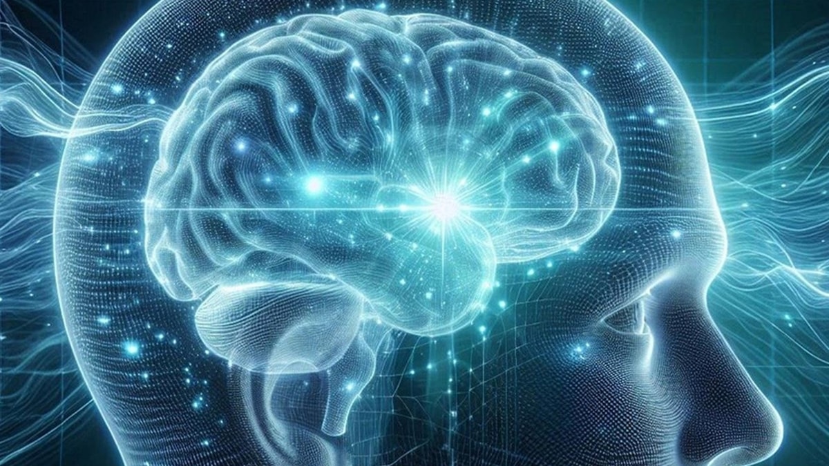 Böbrek ve sinir doku hücreleri de anıları depolayabiliyor