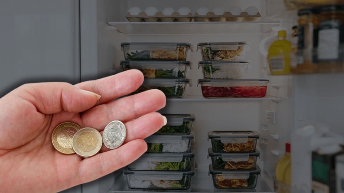 Buzdolabına neden bozuk para koymalısınız?