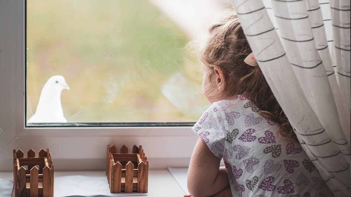 Camın önüne beyaz güvercin konması bakın ne anlama geliyormuş!