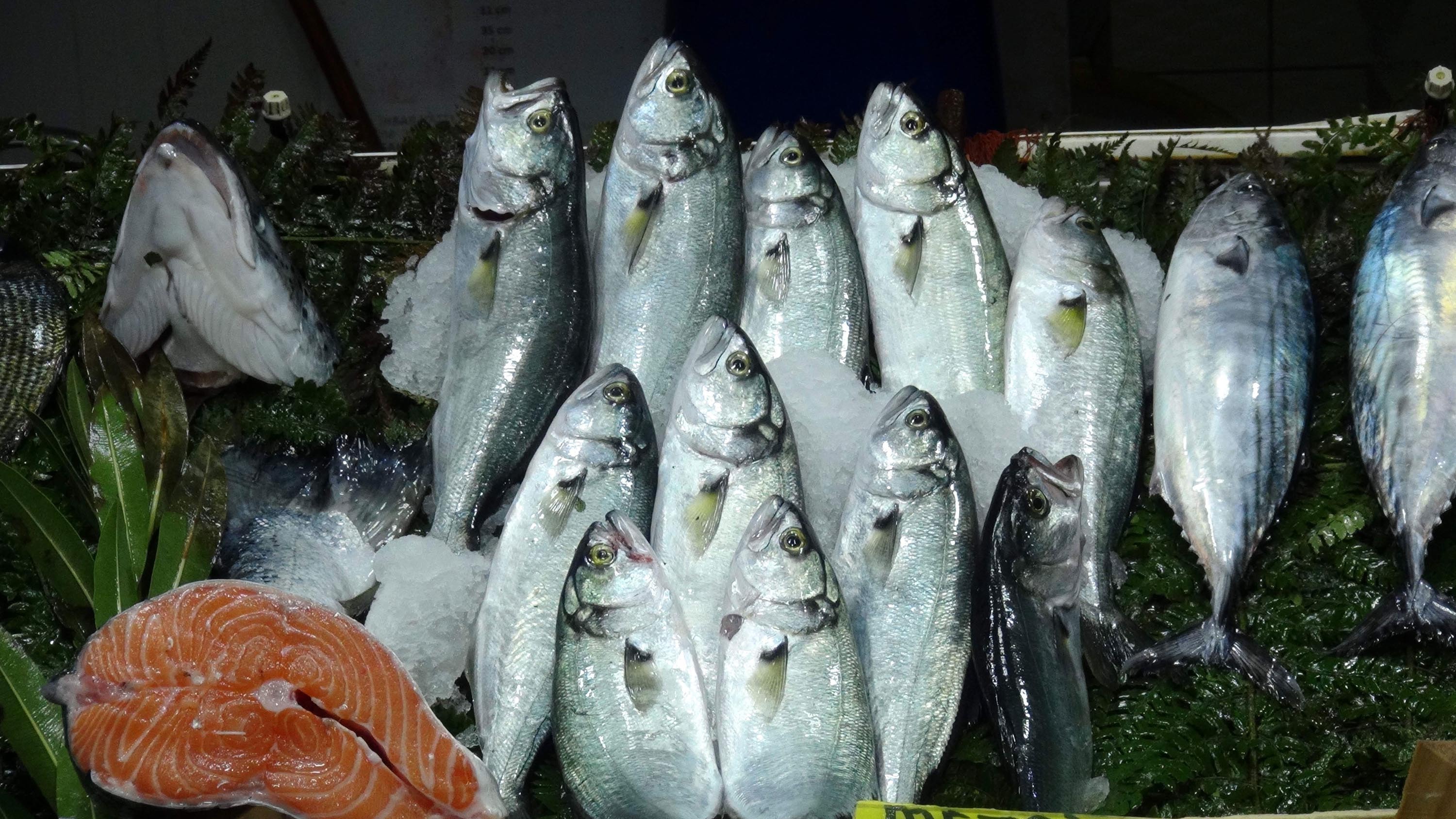 Palamutun ardından 'denizlerin prensi' tezgahlara geldi: Kilosu 1200 lira!