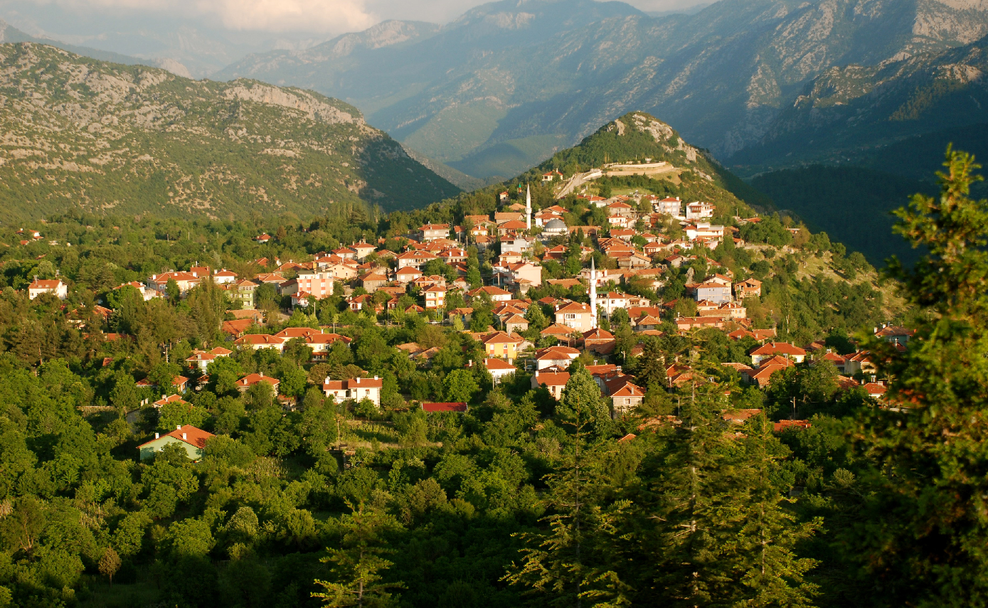 Dünya Turizm Örgütü