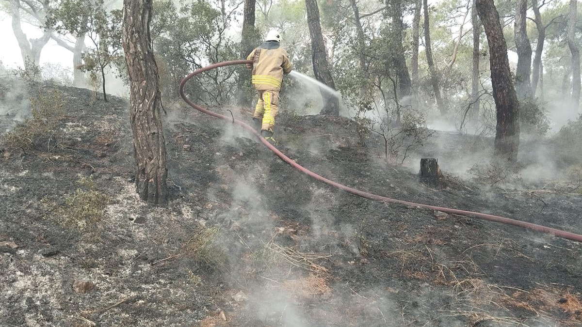 Heybeliada'da ormanlık alanda yangın