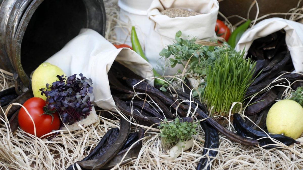 36 çeşit yemek yapıp tanıttılar, kilosu 13 lira: Dünyaya Türkiye'den gidiyor...