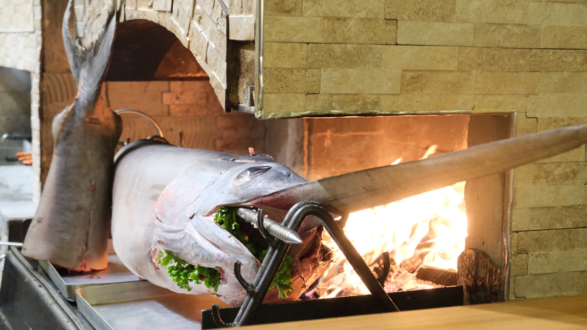 Kuyruğunu kesip kebap yaptılar! Tam 75 kilogram