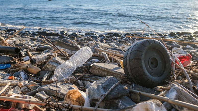 Plastik atık ithalatını yasakladılar! Büyük çoğunluğu yakılıyordu ...