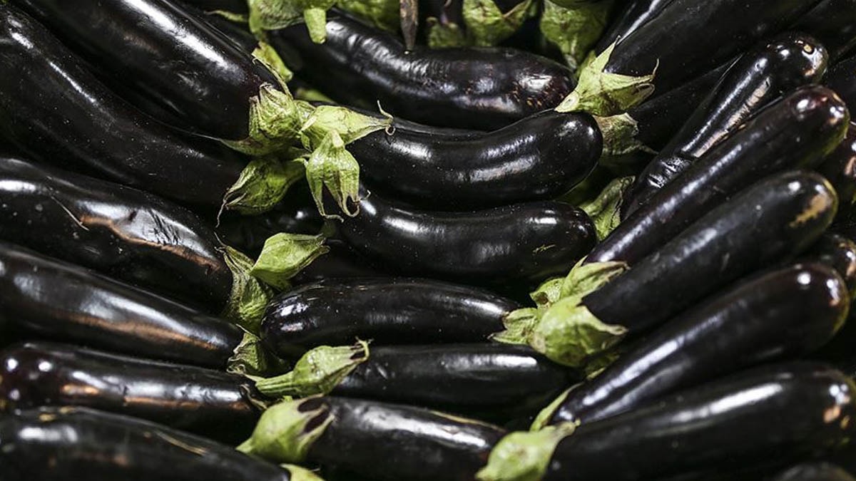 Patlıcanın en sağlıklı hali bu 3 pişirme yönteminden geçiyor!