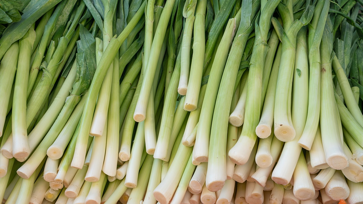 Pırasa yemeden önce bilmeniz gereken 15 gerçek