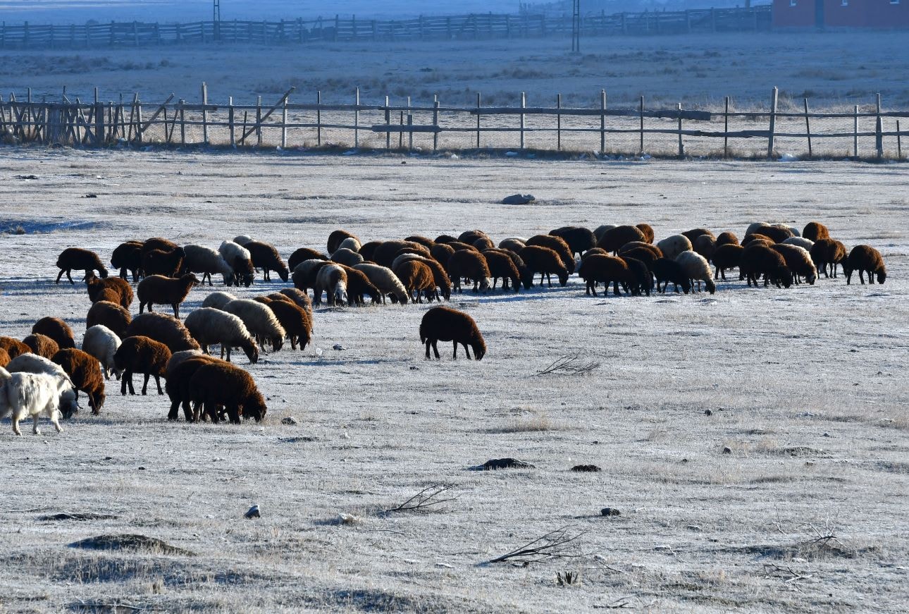 Sıcaklık sıfırın altına düştü: O kentte soğuktan dereler dondu