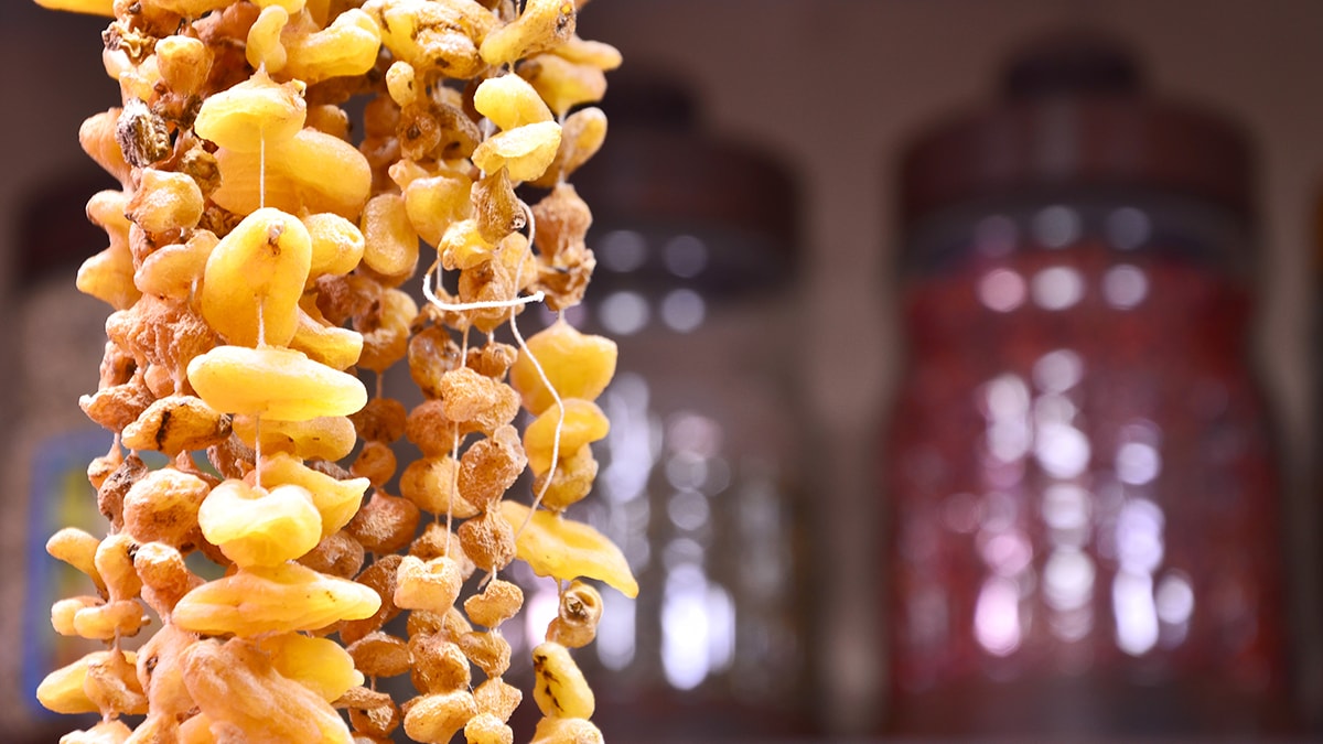 Çay, fındık ya da mısır değil: Karadenizlilerin yeni geçim kaynağı, 1.5 milyon lira kazandırıyor