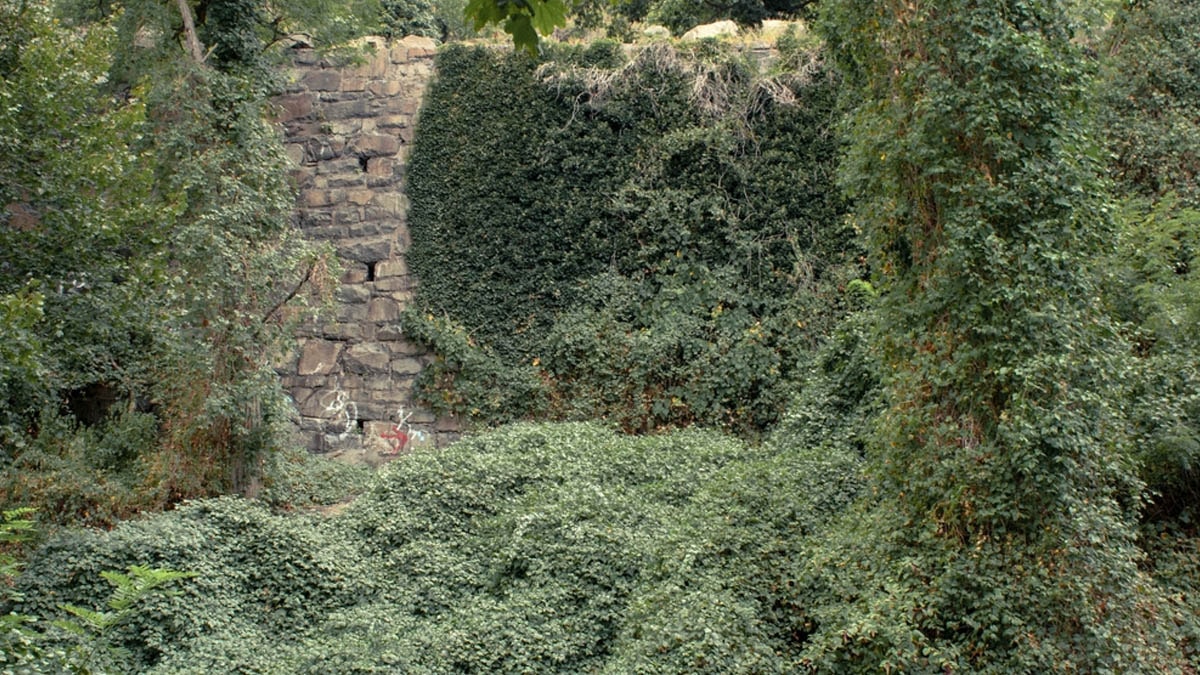 Bu 5 yer o kadar yasak ki Google Haritalar bile gösteremiyor!