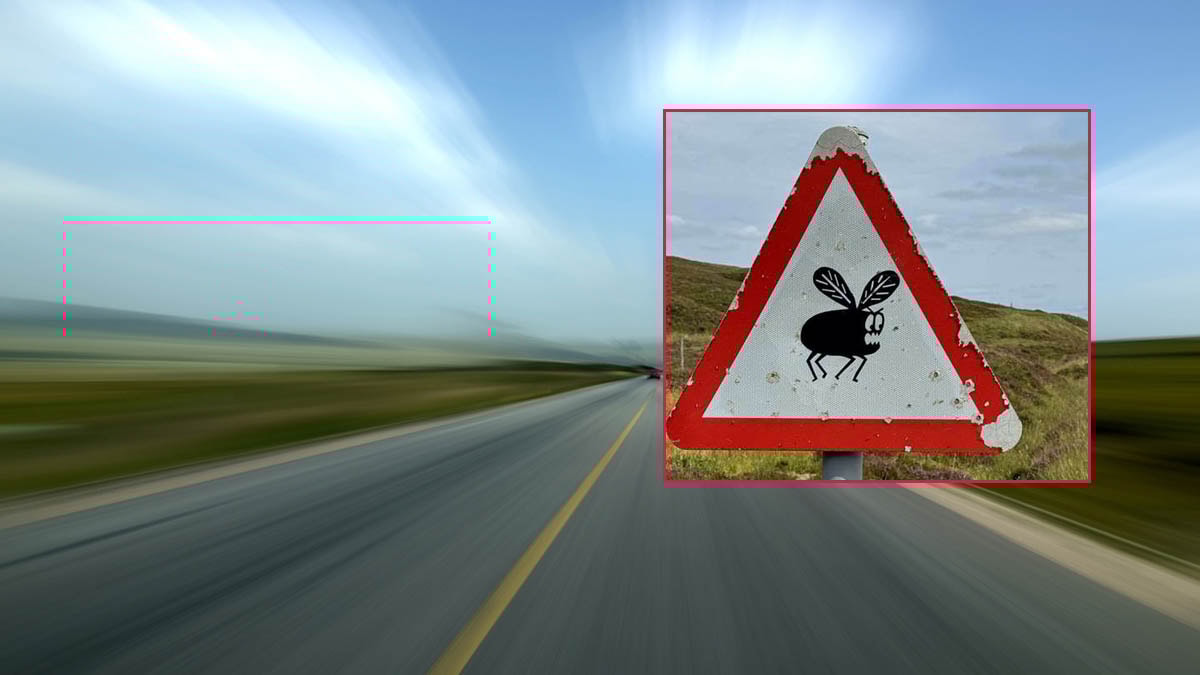 Yeni trafik levhası görenleri şaşırttı: İşte anlamı...