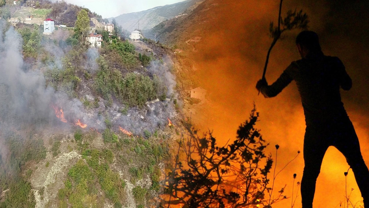 Orman yangınlarında 'yalancı yaz' riski