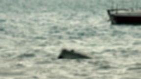 Kongo Demokratik Cumhuriyeti'nde tekne faciası: 2'si çocuk 22 ölü