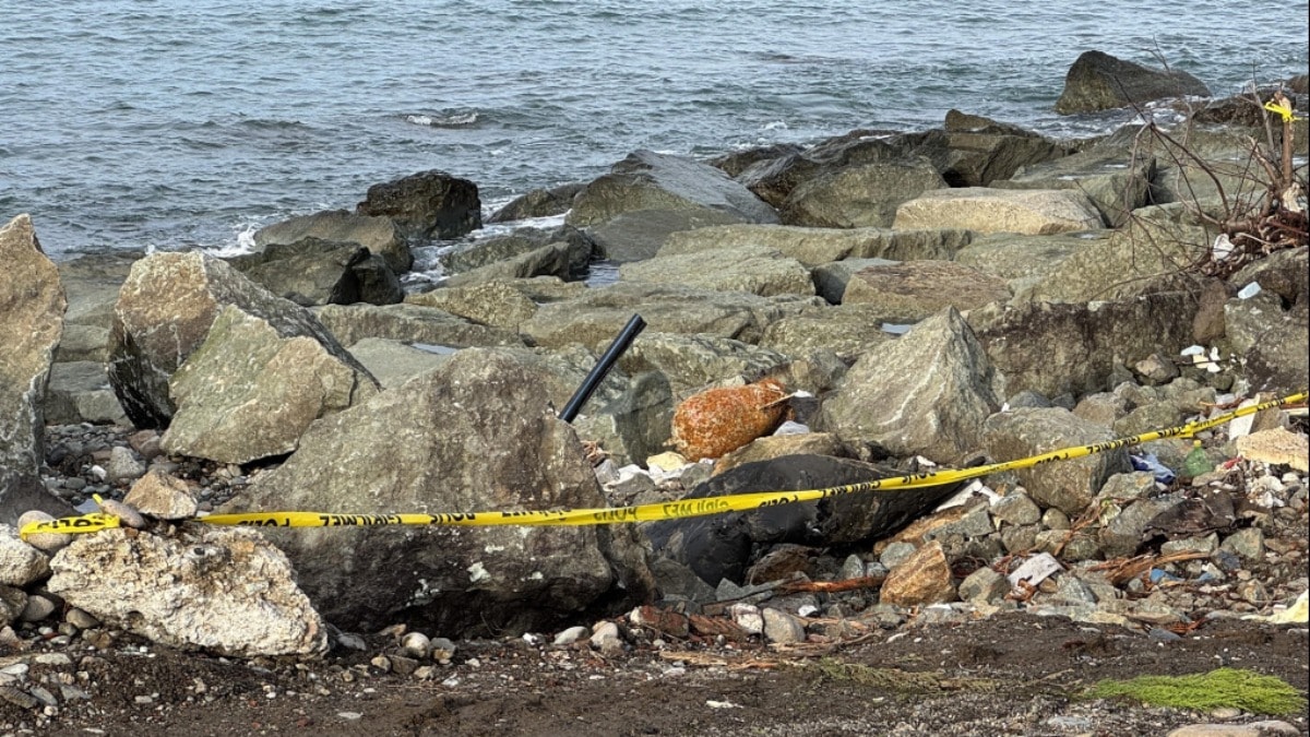 Rize sahilinde 'patlamamış mühimmat' paniği