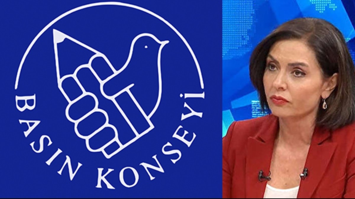 Basın Konseyi'nden gazeteci Özlem Gürses'in gözaltına alınmasına tepki