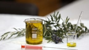 Zeytinyağındaki taklit ve tağşişi tespit etmek için geliştirildi