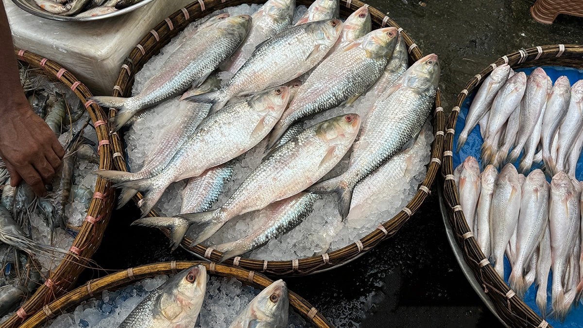 Balıkçılar açıkladı: Aralık ayında bu balıkları sofranızdan eksik etmeyin
