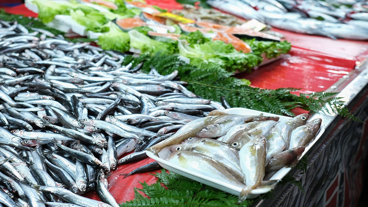 Bayıla bayıla yediğimiz balık aslında zehir deposu! Palamut, hamsi veya mezgit değil