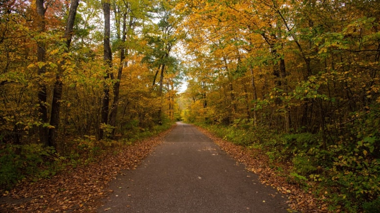 Orman yürüyüşüne çıkan aile kayboldu, ekipler aileye ulaştı