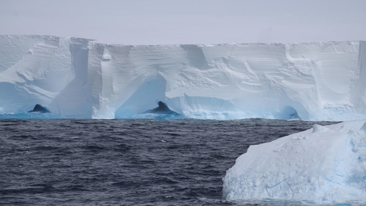 Dünyanın en büyüğüydü: Buz dağı bir ay içinde parçalanabilir