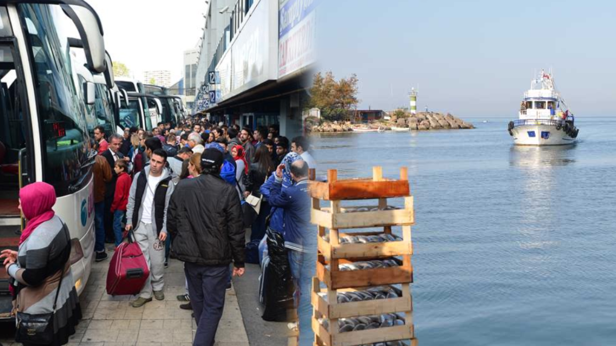 Biletini kesen emekli o ilçeye koşuyor: Hem kiralar ucuz hem pazarı... İstanbul'a 3 saat uzak