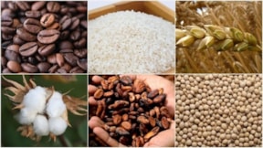 Emtia piyasasında Trump tarifeleri etkisi