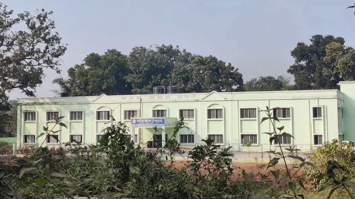 Maymun başlattı, liseye yüzlercesi saldırdı: 32 öğrenci hastanelik oldu