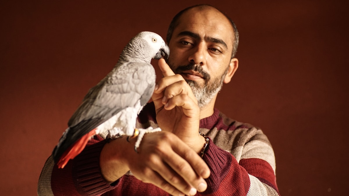 Papağanları için göç ettiği Çanakkale'de üretim çiftliği kurdu