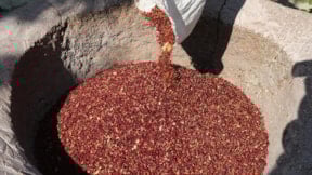 Taklit ve tağşiş listesinde yer aldı: Ünlü baharat markasının baharatında boya çıktı