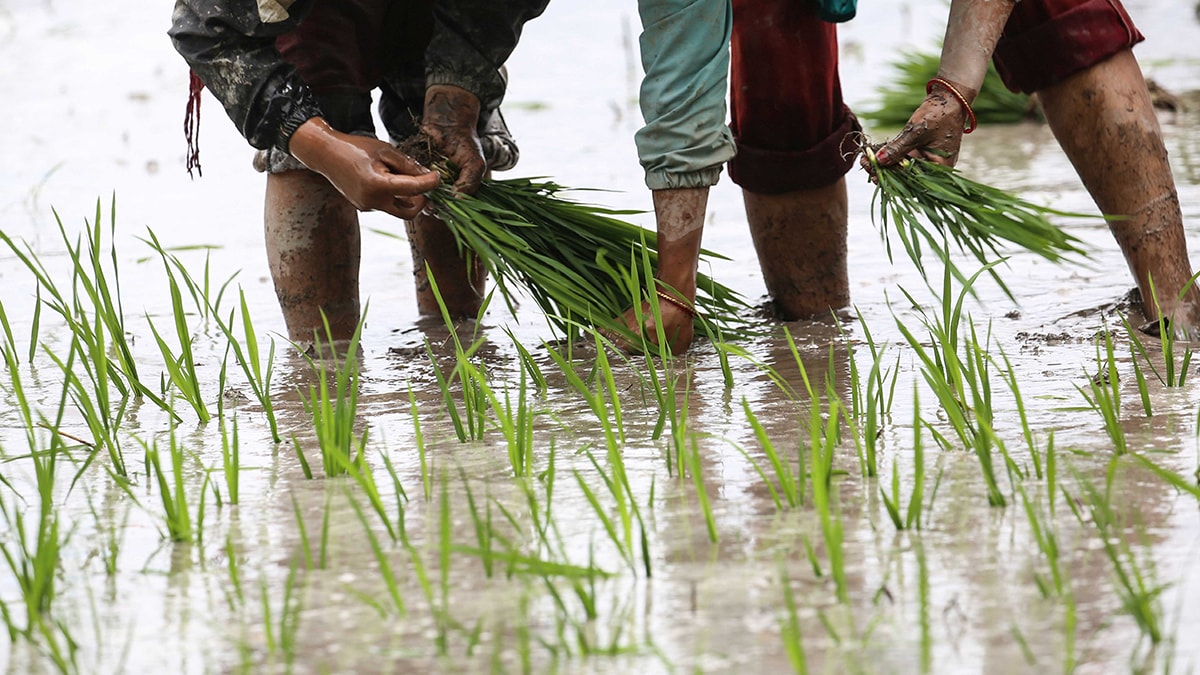 Yaşama yeniden yön veren keşif 