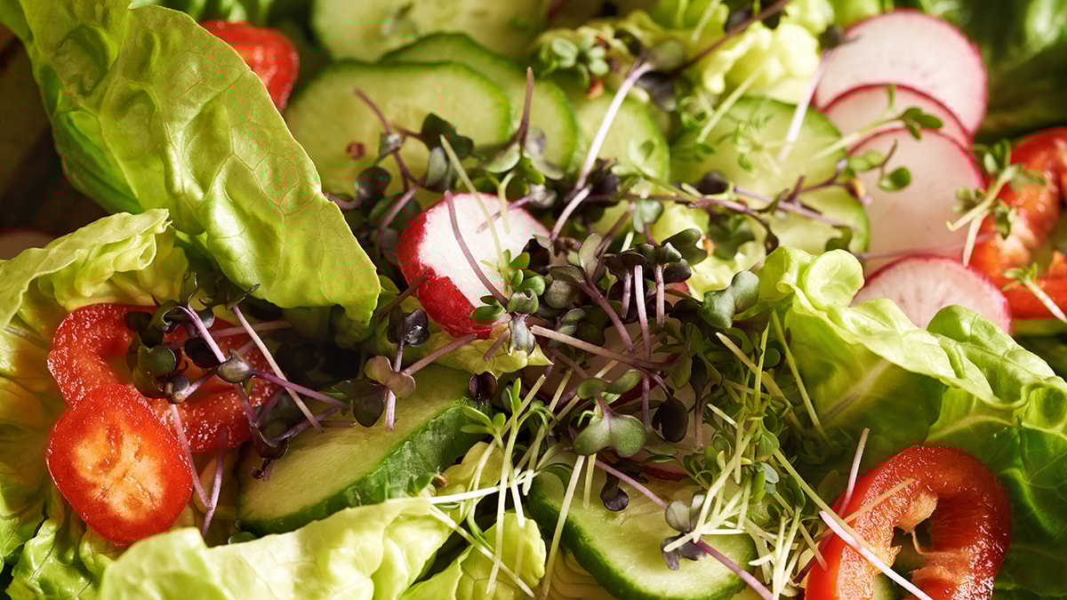 Ispanak, lahana ya da pazı değil: Meğer en sağlıklı sebze buymuş, ilk sıraya yerleşti