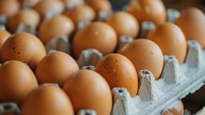 Yumurtaları tek bir yerde saklayın: Buzdolabı değil