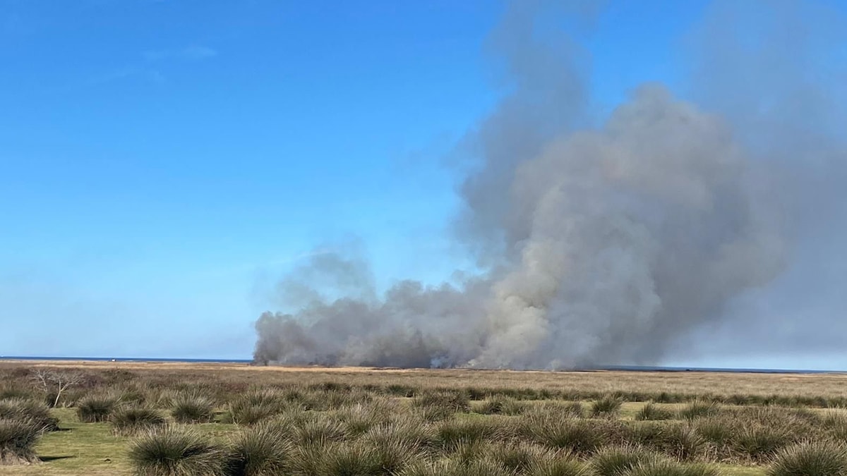 Kızılırmak Kuş Cenneti'nde korkutan yangın