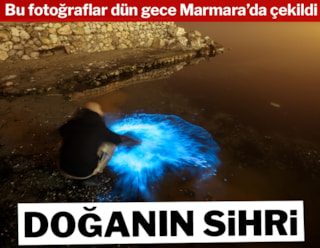 Marmara'da doğanın sihri