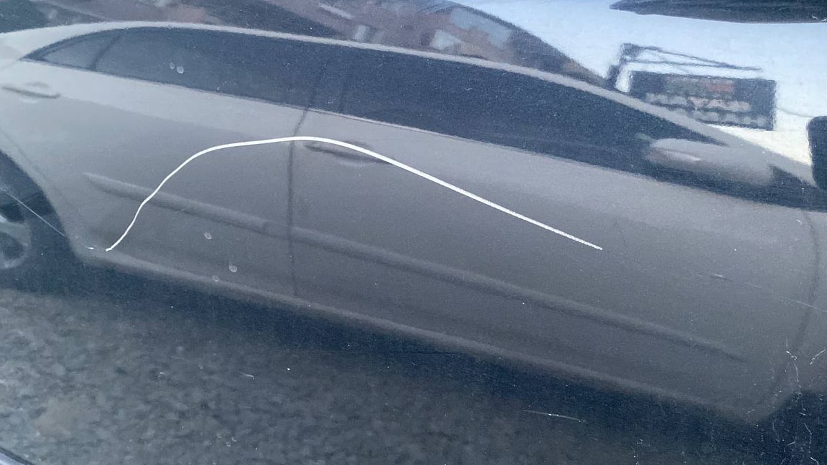 Park halindeki çok sayıda aracı çizdiler