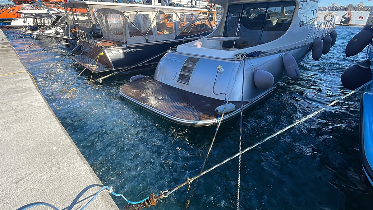 İstanbul’da lodos etkisi: Denizanaları kıyıya vurdu