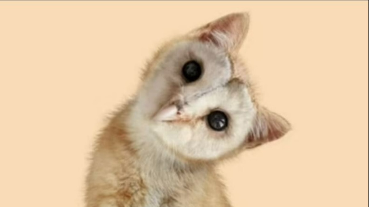 Bu optik illüzyon karakterinizi ortaya koyuyor