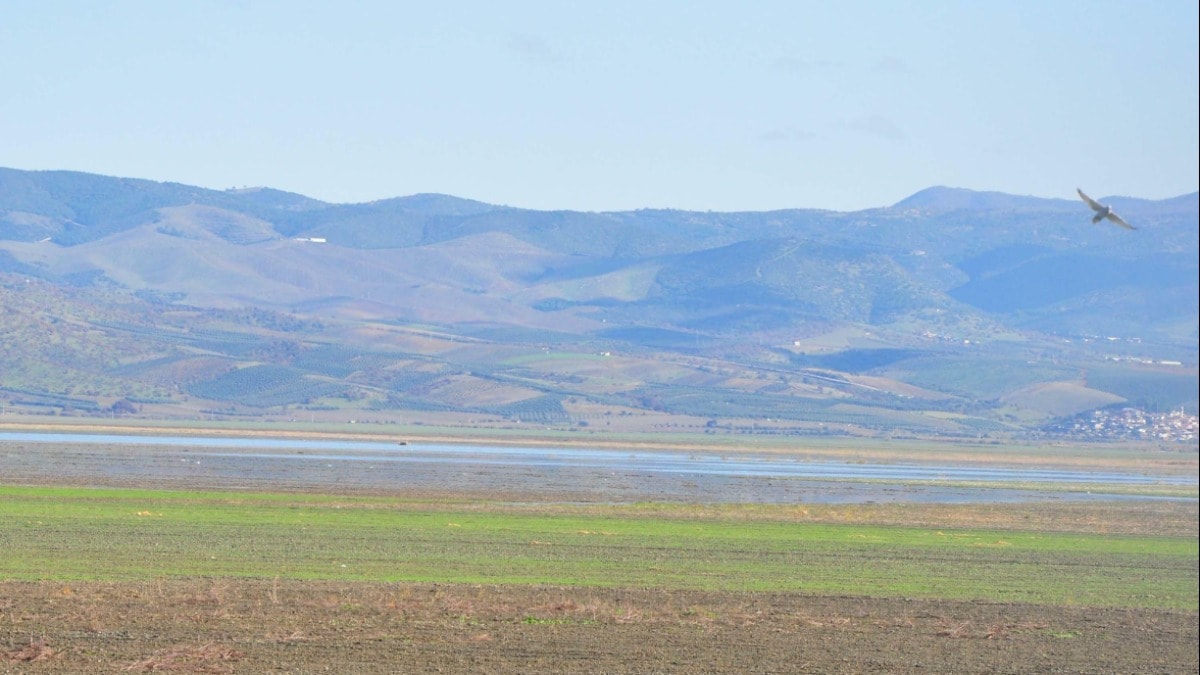 Kuraklık vurmuştu... Marmara Gölü için bilirkişi incelemesi kararı