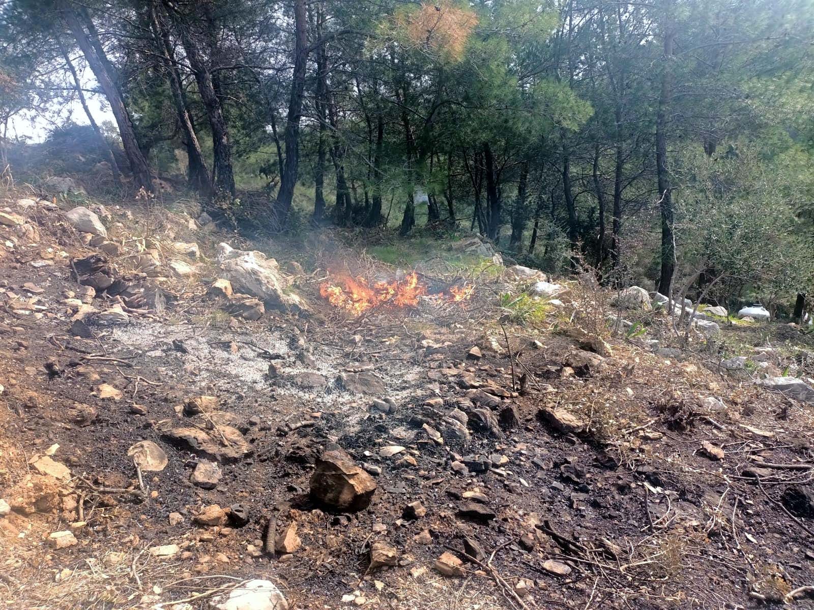 Deniz manzaralı orman talanına jandarma baskını