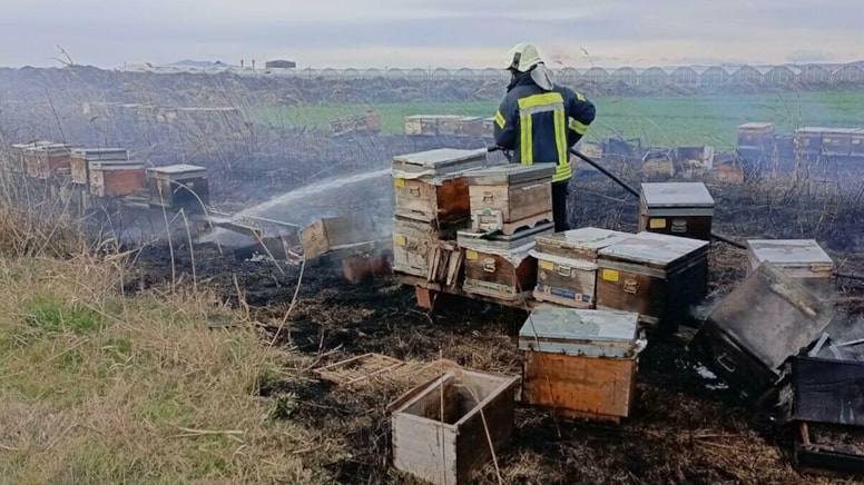 Yangında binlerce arı öldü