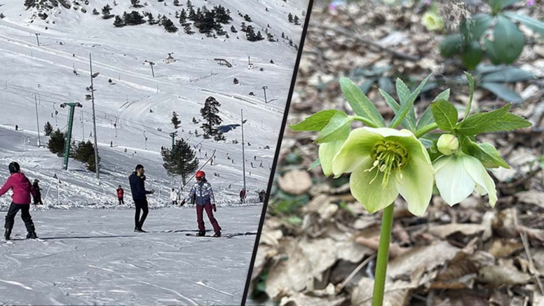 Bolu'da iki mevsim bir arada
