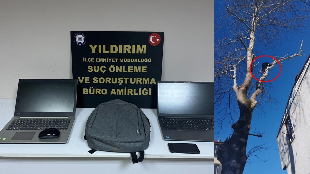 Polisin kovaladığı hırsız ağaçta yakalandı