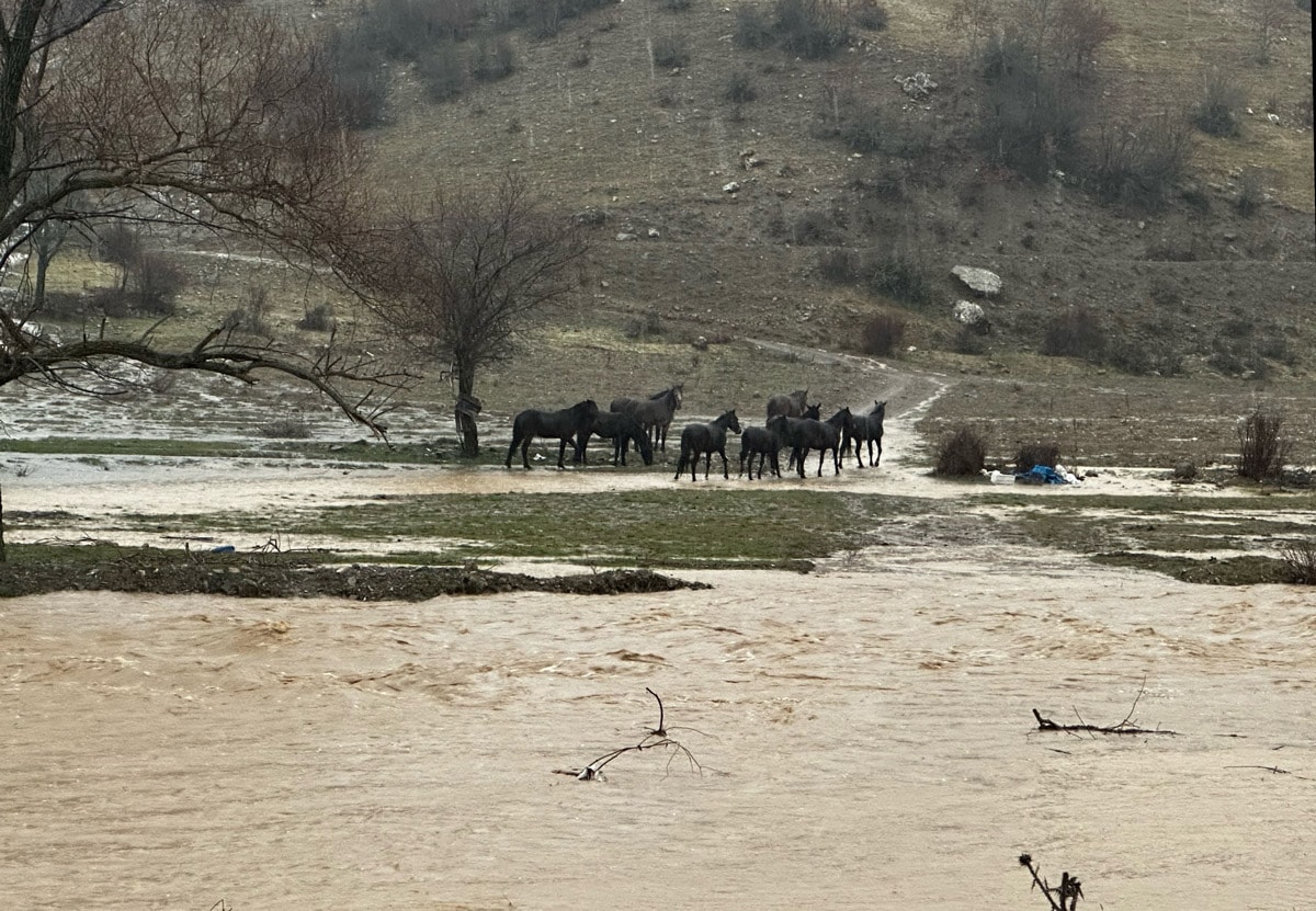 Isparta'da sağanak hayatı felç etti