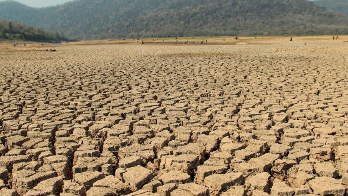 Kuraklık ülkeyi vurdu, ulusal afet ilan edildi