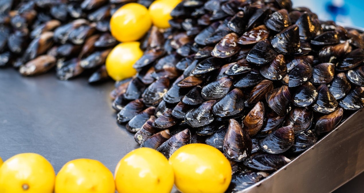 Midye severlere kötü haber! Çalışma ortaya çıkardı; iki virüs saptandı
