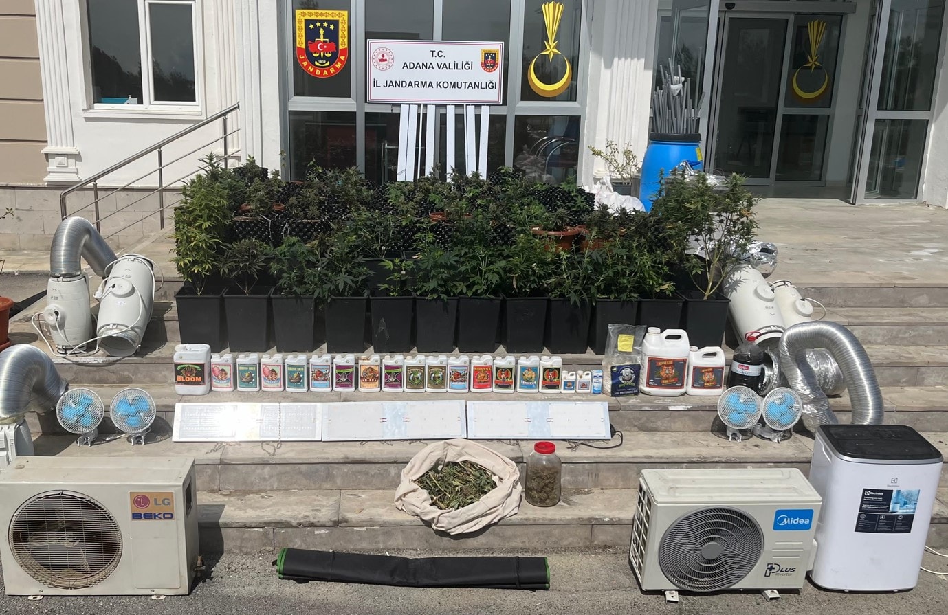 3 daireye operasyon... 121 kök kenevir bitkisi yakalandı