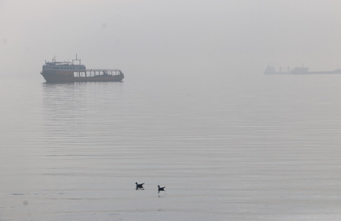 Tekirdağ'da yoğun sis hayatı etkiledi
