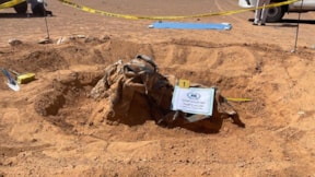Toplu mezar dehşeti... Onlarca göçmenin cesedi bulundu